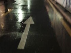 -莲花体育中心