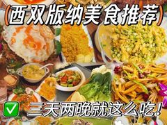-西双版纳原始森林公园