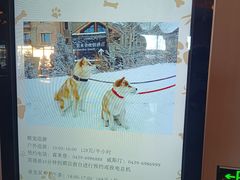 -长白山万达喜来登度假酒店