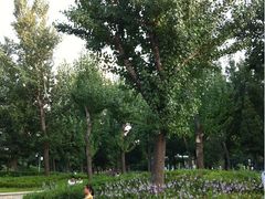 景点-沈阳中山公园