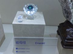 -安徽省地质博物馆