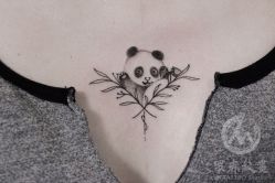 -众刺纹画·纹身·穿孔饰品·海娜定制