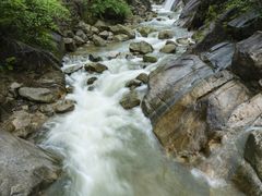 -九龙江国家森林公园