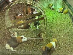 -福州罗源湾海洋世界旅游区