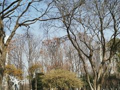 -后襄河公园