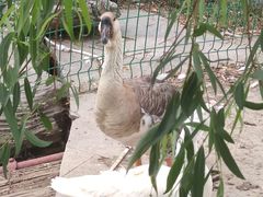 -长安大学(北校区)