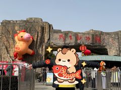 -合肥野生动物园