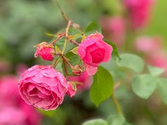 -苏州吴中太湖旅游区