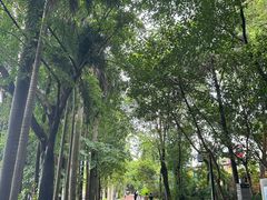 -南宁南湖公园