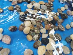 -百佳华超市(松岗店)