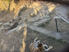 -大连森林动物园