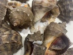 -渔民船说·北塘海鲜·天津菜·海肠捞饭(北塘古镇店)