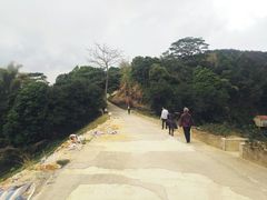 -谷丰健康凤贤居酒家