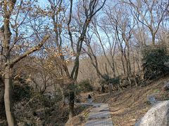 -南京老山国家森林公园