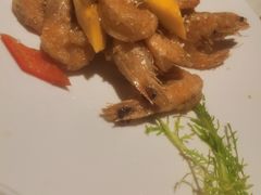 -青叶202都市餐厅(迪诺水镇店)