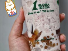 珍豆椰-1点点(东方宝泰店)