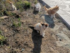 -封龙山风景区
