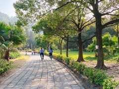 -南沙蒲洲花园