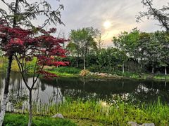 -董永七仙女文化园