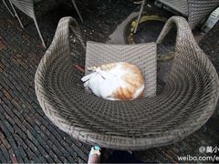 -东部华侨城