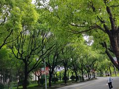 -华东政法大学(松江校区)