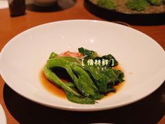 -觀芷隐轩