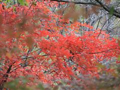 -丹东天桥沟景区