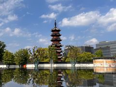 -龙华素斋(龙华路店)