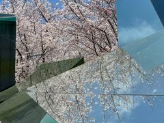 -龙美术馆(西岸馆)