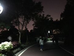 -金鸡山公园
