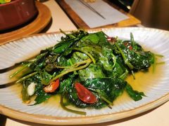 炝炒地瓜叶-山石榴·贵州菜(丰盛里店)