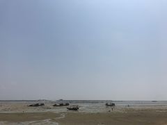 -北海金海湾红树林生态旅游区