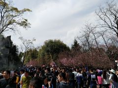 -昆明动物园