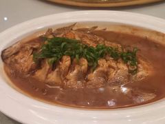 -渔公码头·九龙湾国际饭店