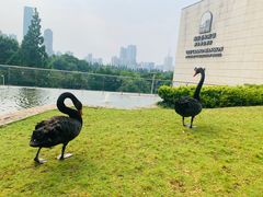 -行者书屋大堂吧 ·下午茶(南京圣和府邸酒店)