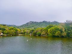 -厦门大学(思明校区)