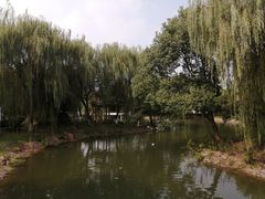 -华西村