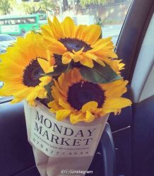 -MAGIC米几发型设计·羊毛卷