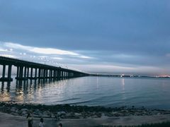 -宝安西湾红树林湿地公园