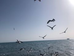 -青海湖二郎剑景区