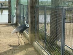 -盐城丹顶鹤湿地生态旅游区