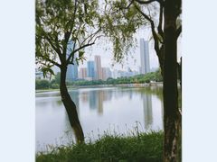 -后襄河公园