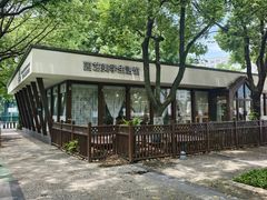 -青枫公园