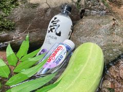 -龙窝子