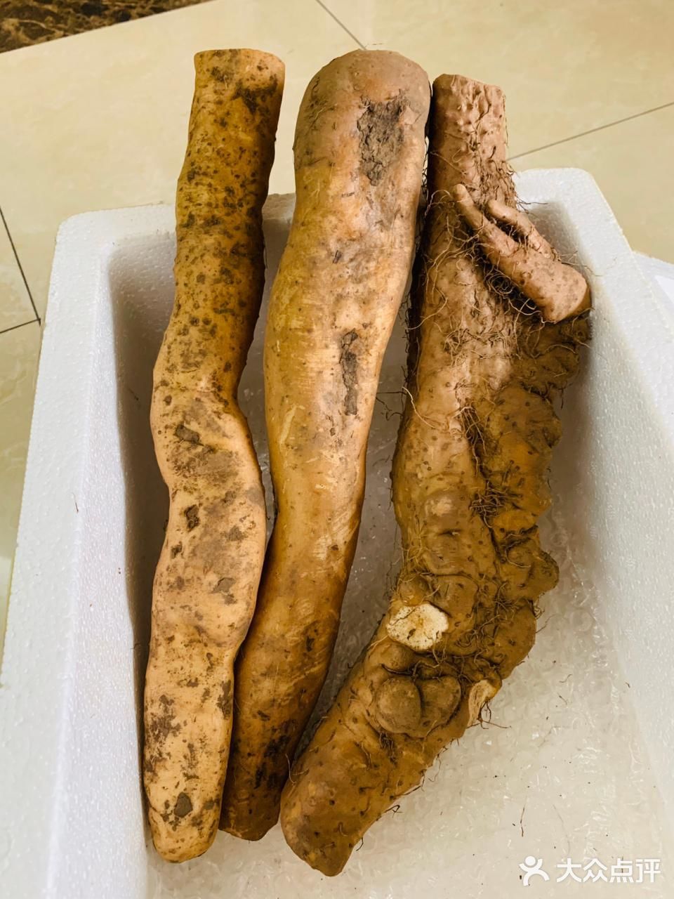 来自深山里的野生怀山药