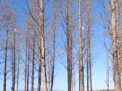 -呈贡滇池生态湿地公园