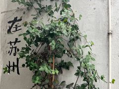 -伟记奥面馆(白塔东路店)