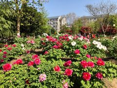 -江南大学(蠡湖校区)