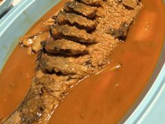 -阿五黄河大鲤鱼(纬三路店)