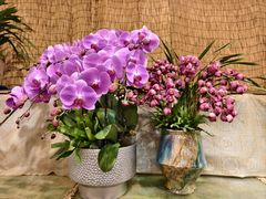 -双季花艺园艺市场(浦东店)